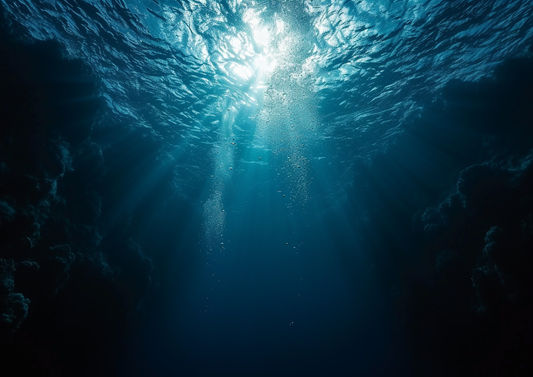 Zoologist "Squid" Sample Only NOT Full Bottle